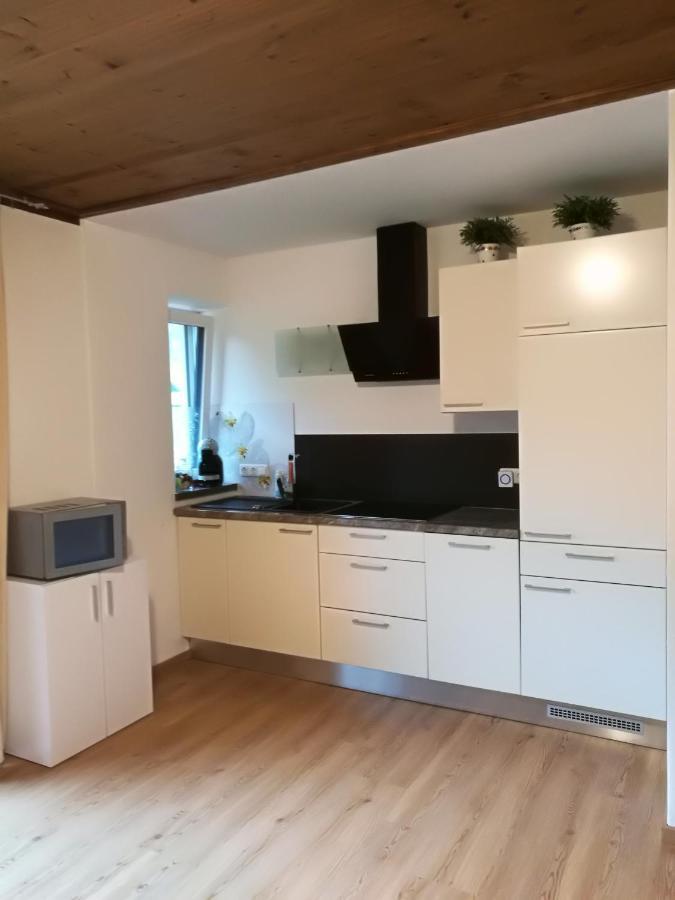 Gemuetliche Wohnung 10 Minuten Vom See Entfernt Zell am See Extérieur photo